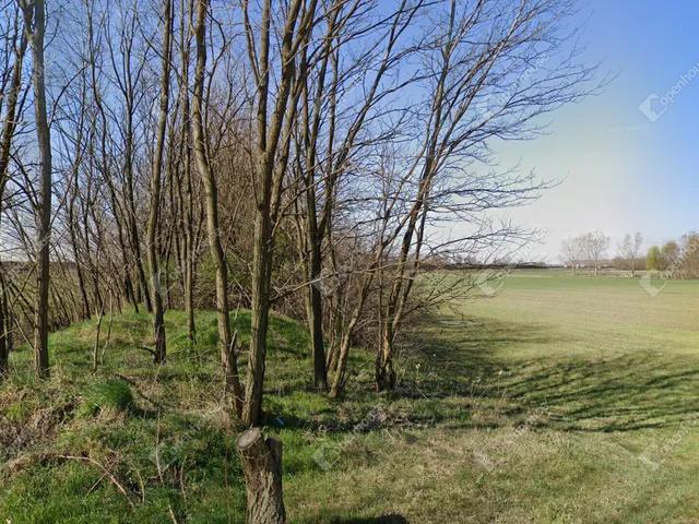 Eladó telek Péteri 31408 nm