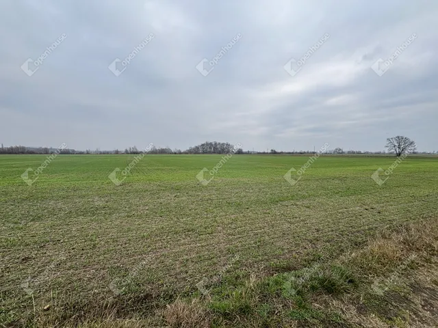 Eladó telek Csévharaszt 14264 nm