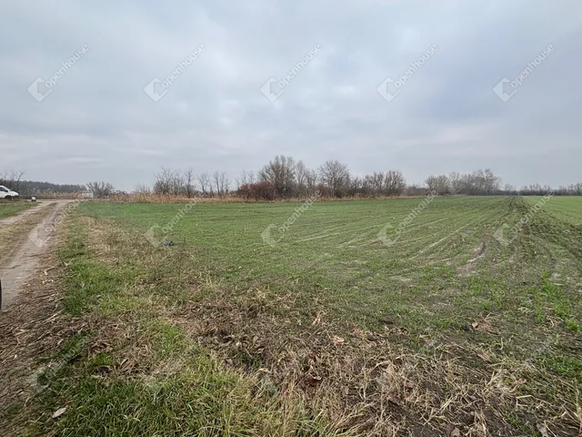 Eladó telek Csévharaszt 14264 nm