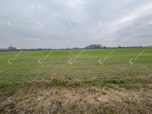 Eladó telek Csévharaszt 9989 nm