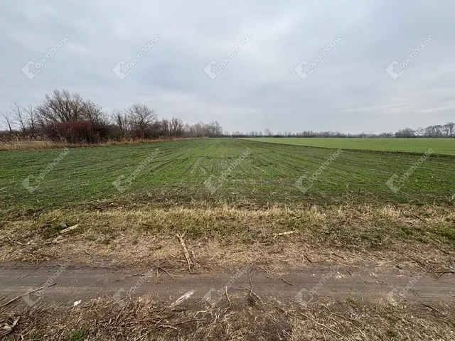 Eladó telek Csévharaszt 13020 nm