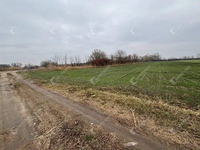 Eladó telek Csévharaszt 13020 nm