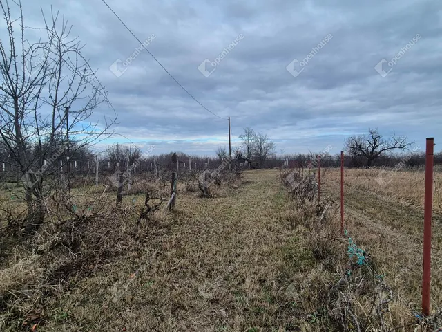 Eladó telek Sülysáp 3552 nm