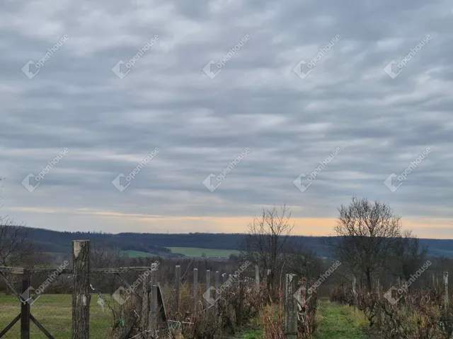 Eladó telek Sülysáp 3552 nm