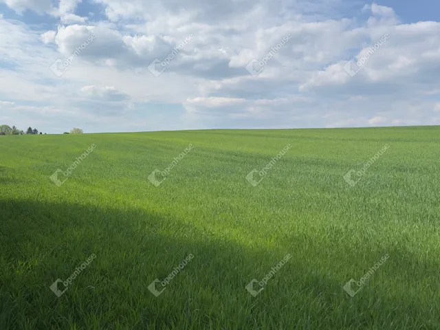 Eladó telek Bénye 1319 nm