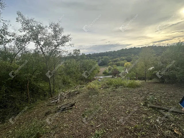 Eladó telek Bénye 1319 nm