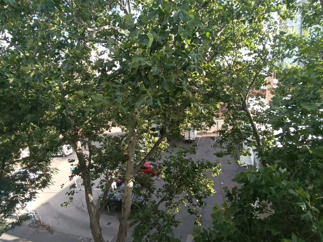 Eladó lakás Szolnok, Belváros 55 nm