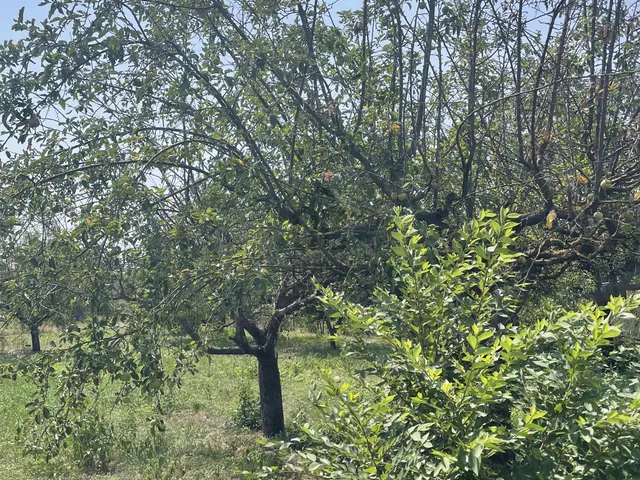 Eladó telek Abony 720 nm