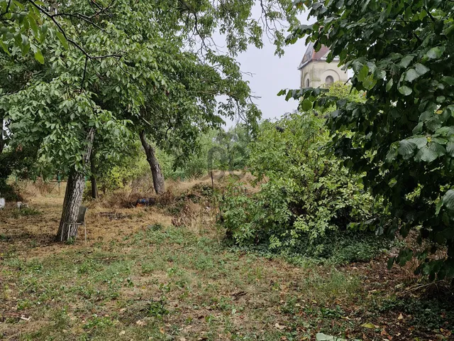 Eladó ház Tiszaföldvár 170 nm