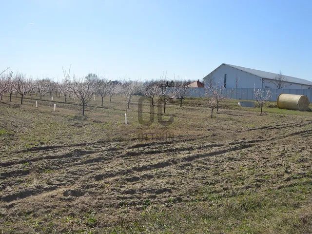 Eladó mezőgazdasági ingatlan Abony 14446 nm