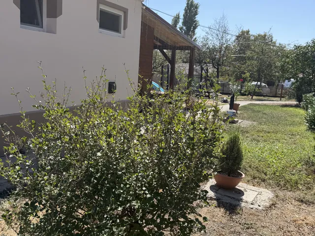 Eladó ház Abony 73 nm