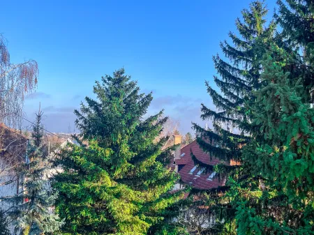 Eladó lakás Budapest XII. kerület, Kútvölgy 46 nm