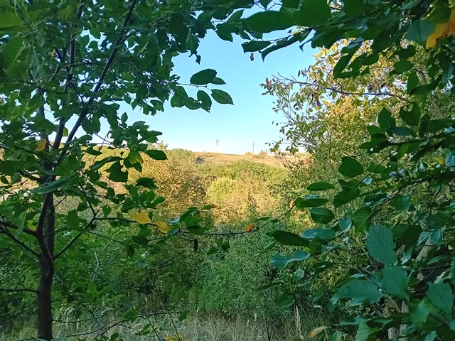 Eladó telek Mogyorósbánya 2455 nm