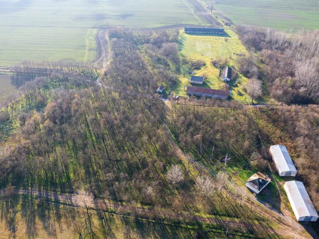 Eladó kereskedelmi és ipari ingatlan Mezőfalva 55135 nm