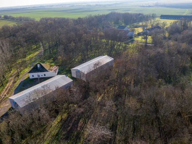 Eladó kereskedelmi és ipari ingatlan Mezőfalva 55135 nm