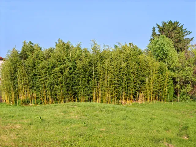 Eladó telek Kecskéd 1749 nm