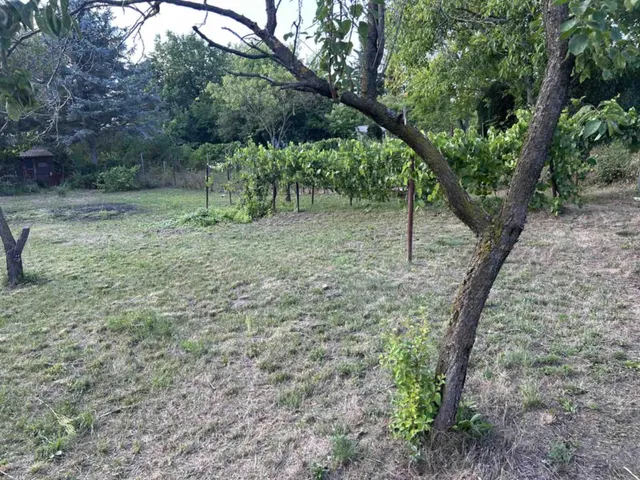 Eladó mezőgazdasági ingatlan Környe 1218 nm