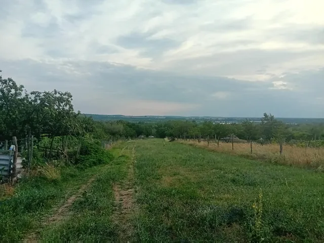 Eladó telek Szomód 4000 nm