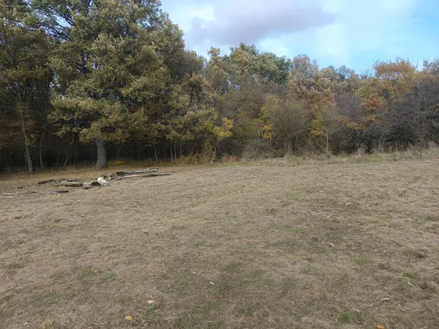 Eladó mezőgazdasági ingatlan Vértesszőlős 2716 nm