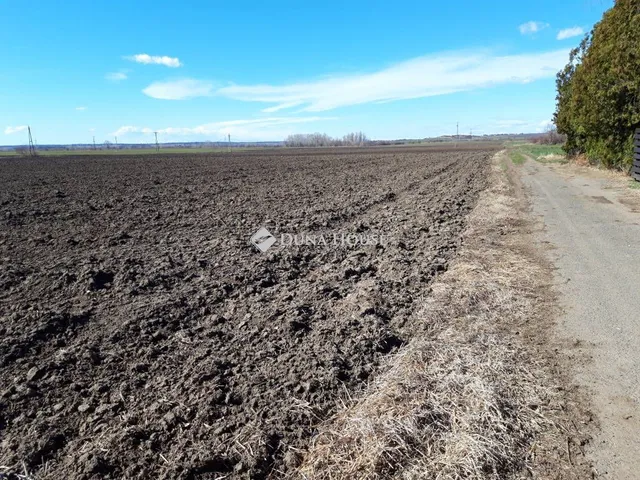 Eladó telek Lepsény 6745 nm