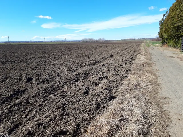 Eladó telek Lepsény 6745 nm