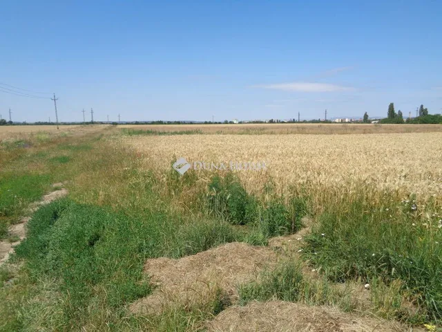 Eladó telek Székesfehérvár 21880 nm