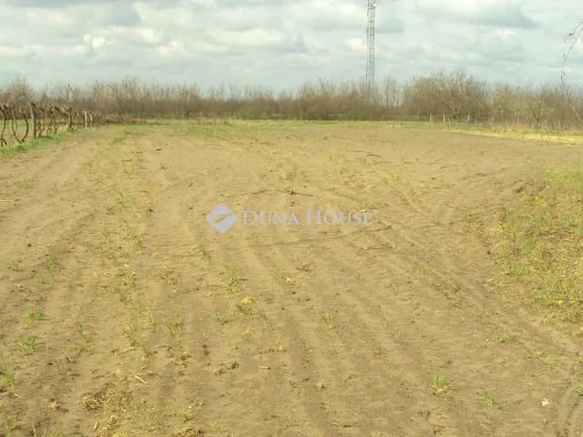 Eladó mezőgazdasági ingatlan Sárkeresztúr 20 nm