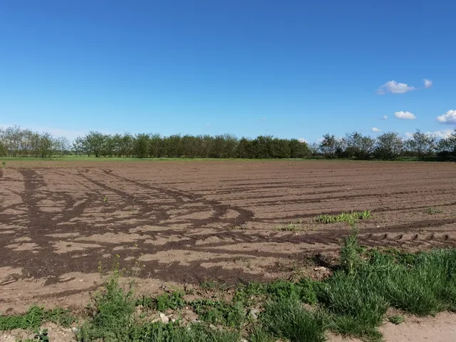 Eladó telek Sárkeresztúr 2877 nm