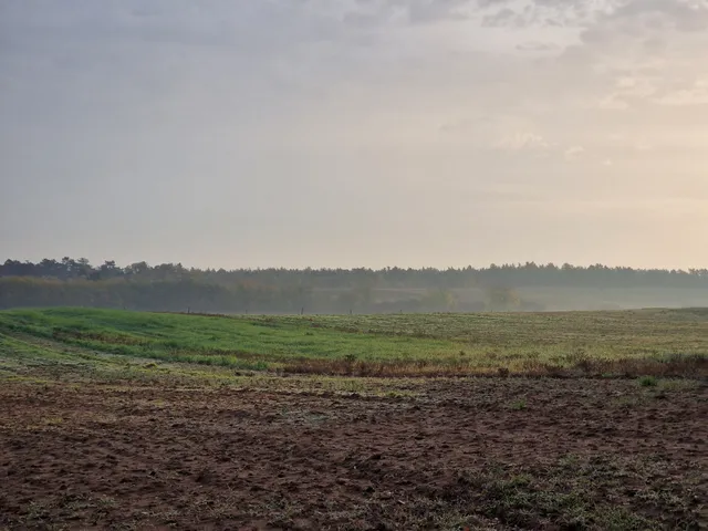 Eladó telek Vajta 30000 nm