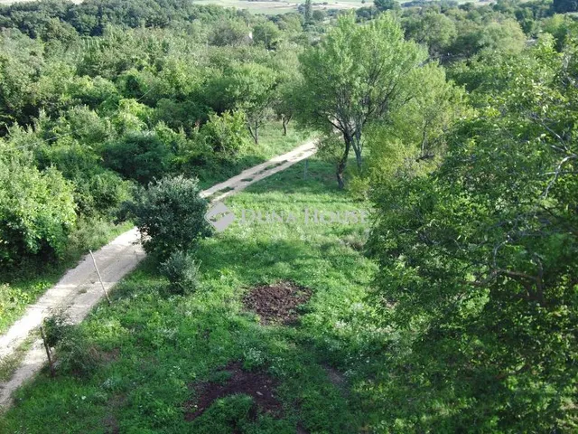 Eladó telek Köveskál 12404 nm