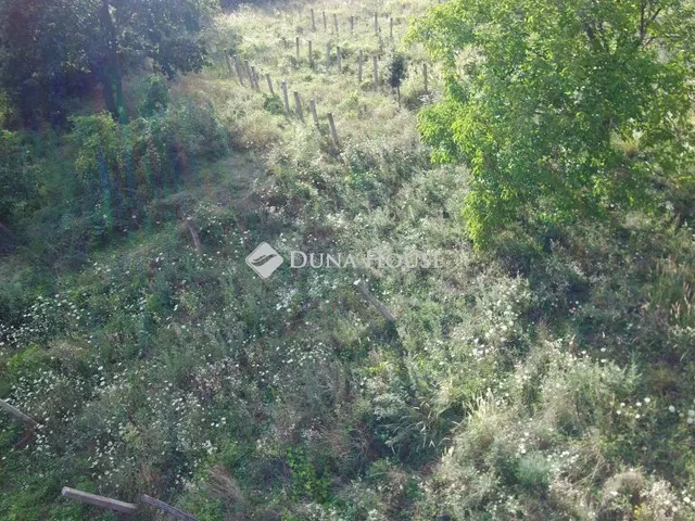 Eladó telek Köveskál 14993 nm