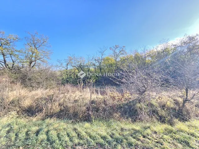 Eladó telek Pázmánd 38332 nm