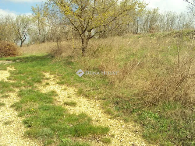 Eladó telek Kincsesbánya 969 nm