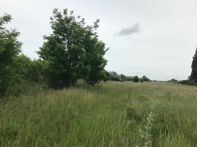 Eladó telek Székesfehérvár 5156 nm