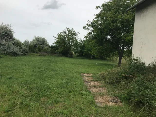 Eladó telek Székesfehérvár 5156 nm