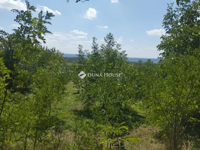 Eladó ház Csákberény, Zártkert 26 nm
