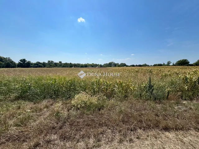 Eladó telek Pátka 1751 nm