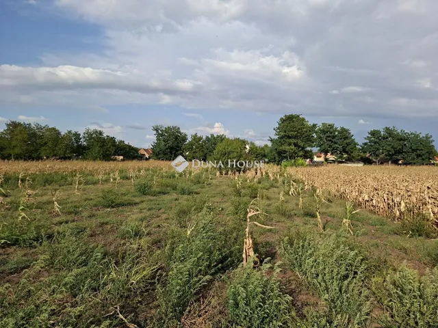 Eladó telek Seregélyes 838 nm