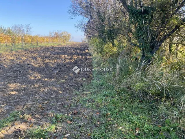 Eladó telek Isztimér, Zártkert 1626 nm