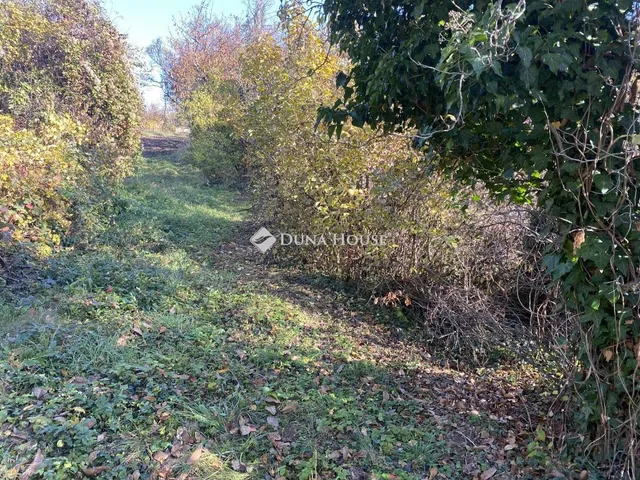 Eladó telek Isztimér, Zártkert 1626 nm