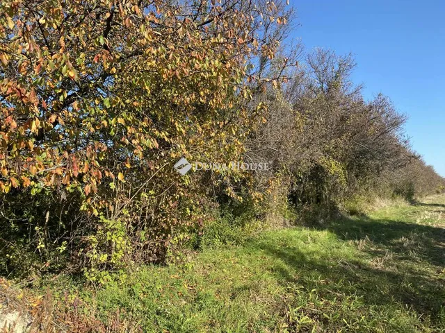 Eladó telek Isztimér, Zártkert 3385 nm