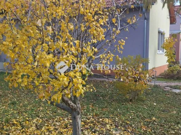 Eladó ház Székesfehérvár 195 nm