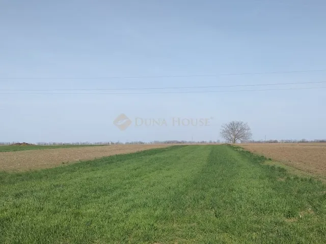 Eladó telek Polgárdi 1594 nm