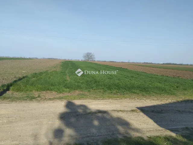 Eladó telek Polgárdi, Gábor Áron utca 1594 nm