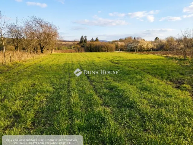 Eladó telek Isztimér, Zártkert 2482 nm