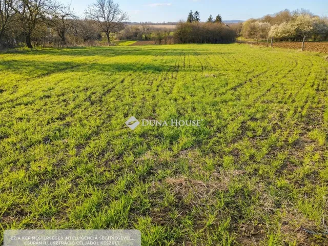 Eladó telek Isztimér, Zártkert 2482 nm