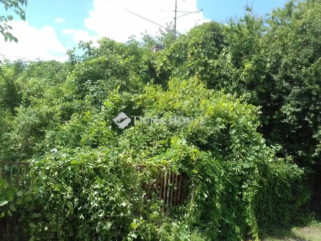 Eladó ház Osztopán, Hunyadi János utca 50 nm