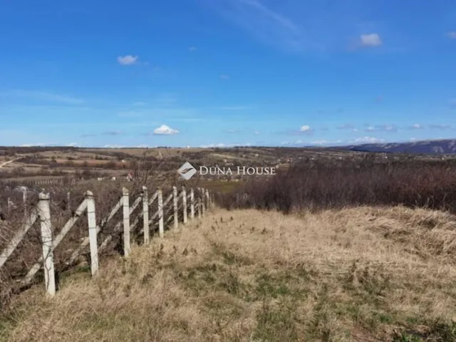Eladó telek Várpalota 1600 nm