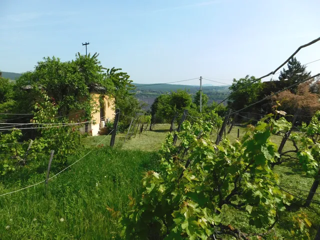 Eladó telek Pécs, Gyükés 1129 nm