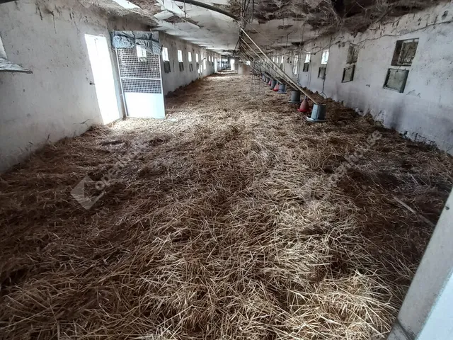 Eladó mezőgazdasági ingatlan Szabadi 1280 nm